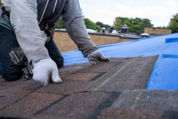 Quick and Trustworthy Emergency Roof Repair Services in Elmwood, IL