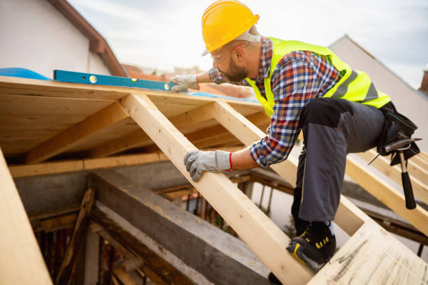 Best Roof Gutter Cleaning  in Elmwood, IL