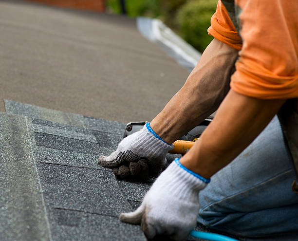 Best Roof Gutter Cleaning  in Elmwood, IL